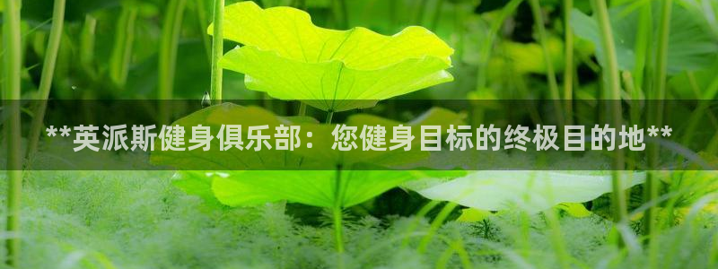 龙8国际平台提款被黑
