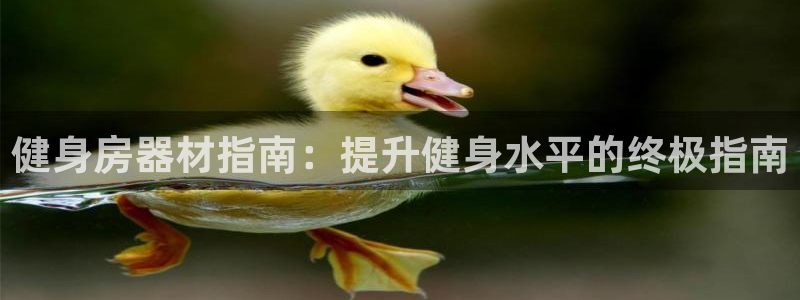 龙8国际pt客户端下载
