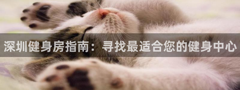 龙八国际娱乐官网app