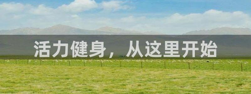 龙8国际游资如何