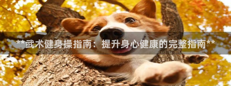 龙8国际老虎机电子