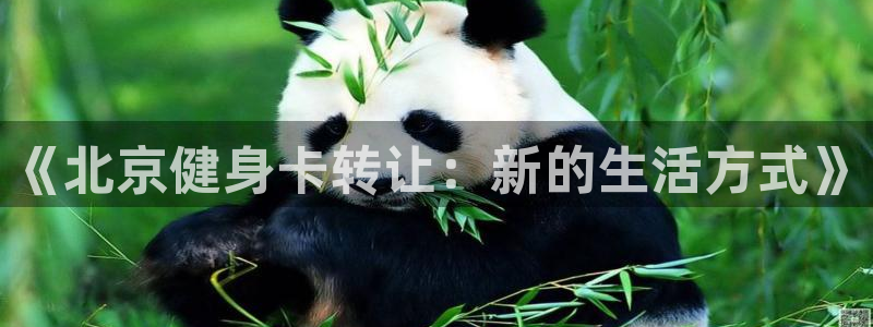 龙8国际手机版app