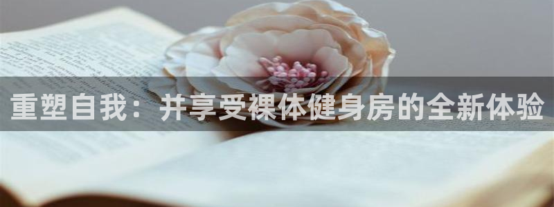 龙8国际是什么平台