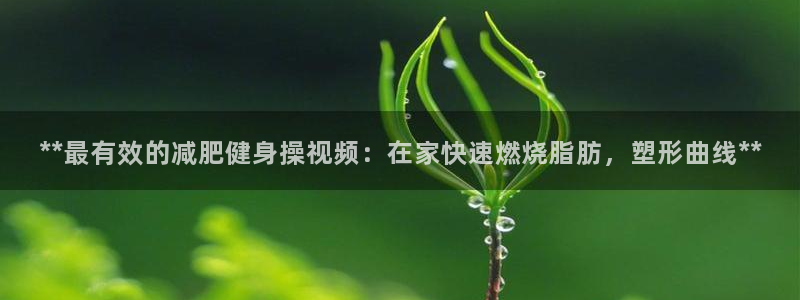 龙8国际官方平台
