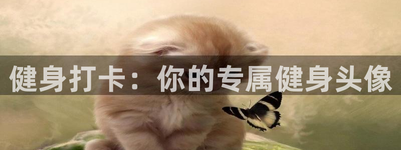 龙8国际平台