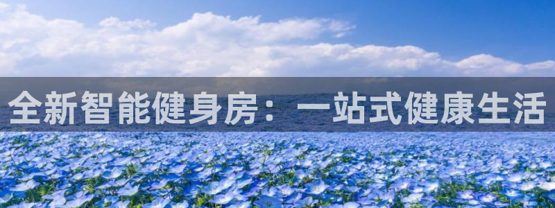 龙8国际手机版下载