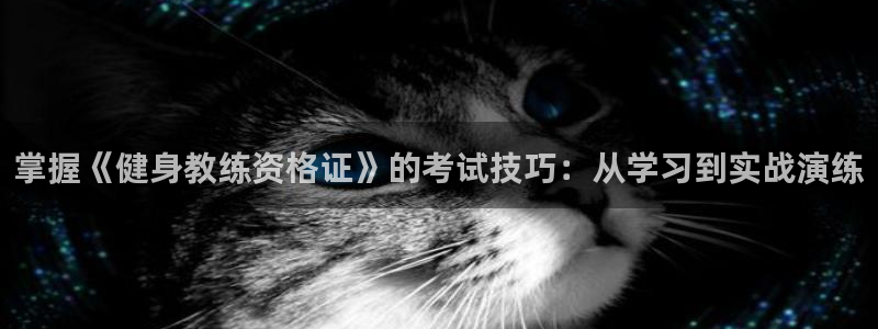 龙8国际网页版下载