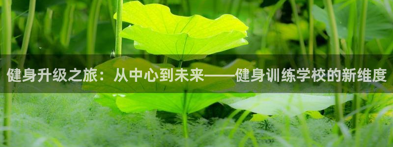 龙8国际玩家