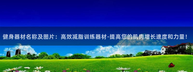 龙 八国际