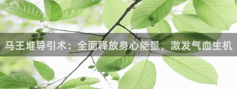龙八国际娱乐在线游戏