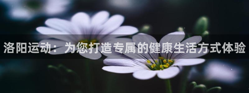 开户送88元体验金网站