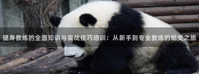龙8国际唯一官网