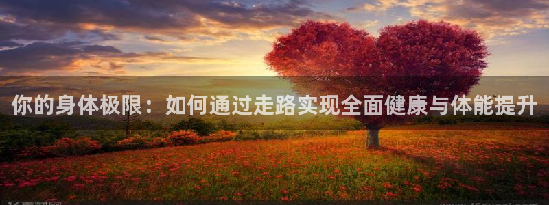 龙8国际官网
