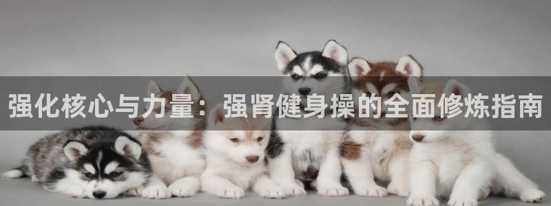国际龙8官网pt客户端下载