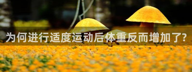 龙8国际app 下载