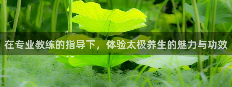 龙8国际pt客户端下载