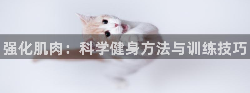 龙8游戏官方网站z