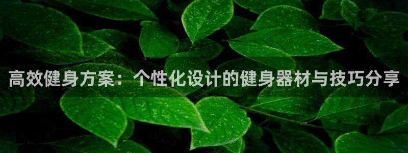 龙8国际老虎机游戏