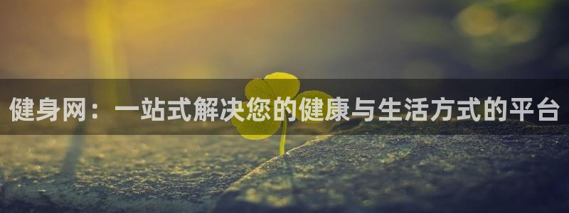 龙8国际网站