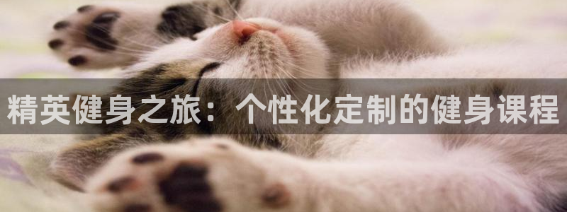 龙8国际是什么平台