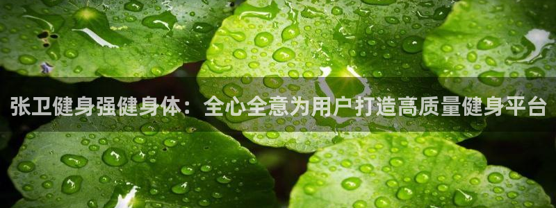龙8国际3.0