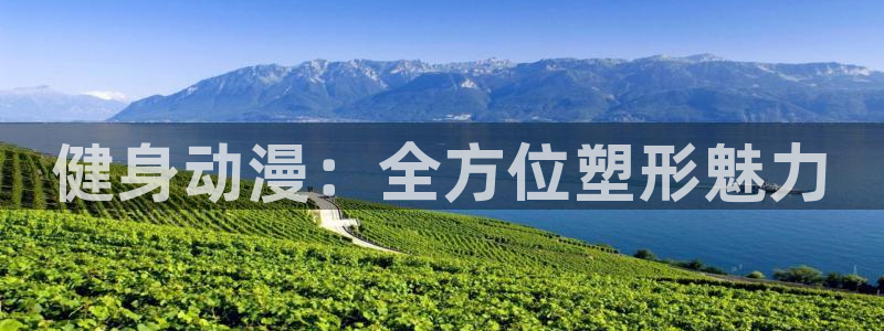 龙8国际.com