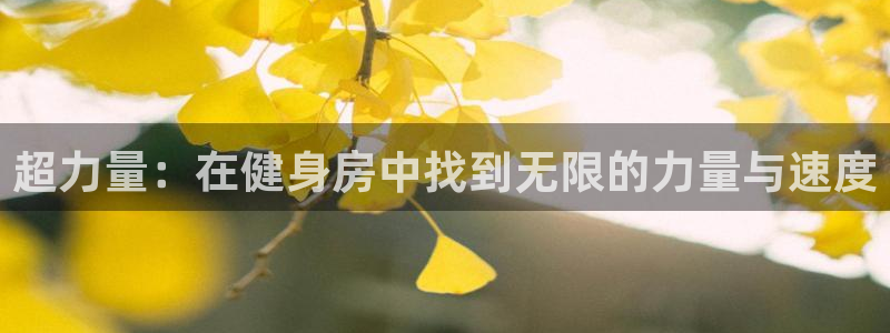 龙8国际手机版app