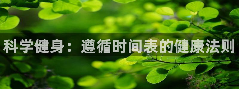 龙8国际-我的