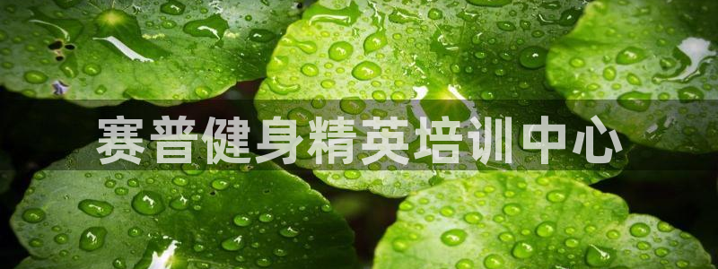 龙8国际游戏娱乐