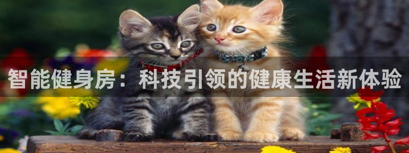 龙8国际官网官方版fxzls天地手游 -kc -安卓