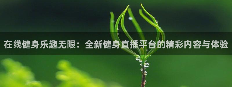 龙8国际网页版下载