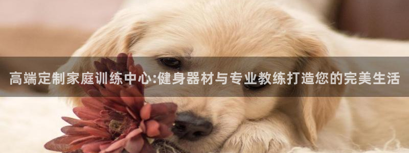 龙8国际long88(中国)官方网站