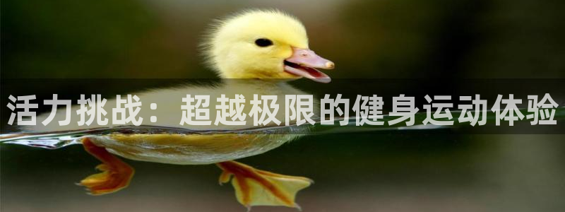 龙八国际唯一官网