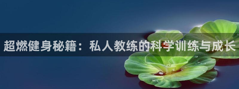 龙8国际pt网址