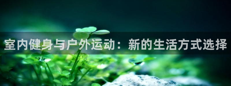 龙八国际官方网