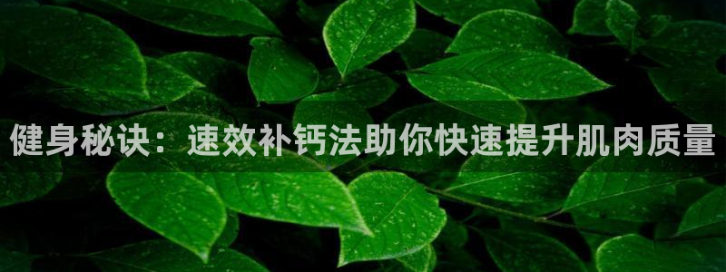 龙8游戏平台官方