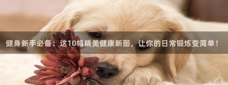 龙八国际首页