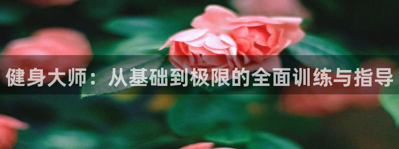龙8游戏平台官方网站是多少