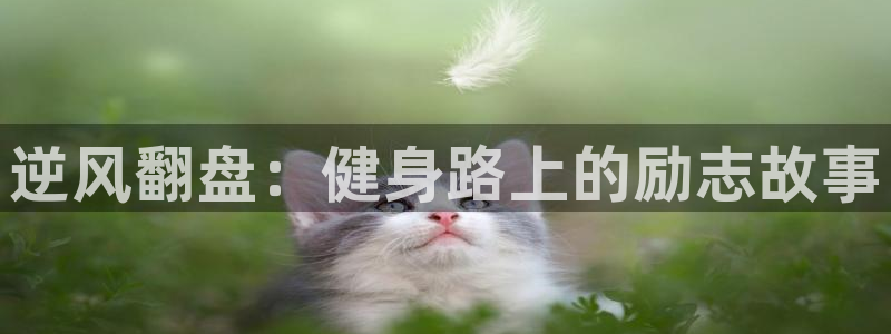 龙8国际头号玩家是谁