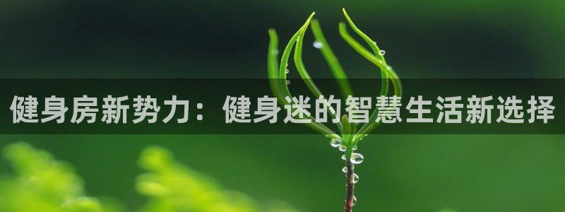 龙8国际中国