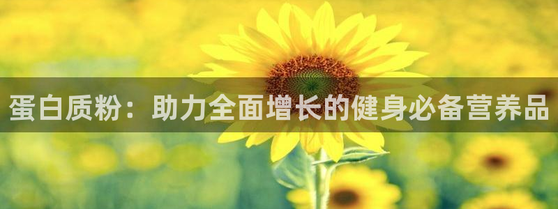 龙八国际手机客户端