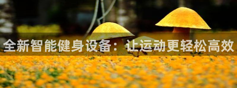 龙8国际老虎机娱乐