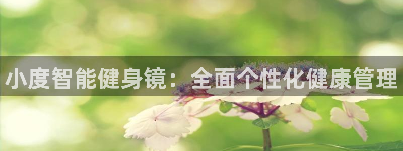 龙8游戏官方网站p