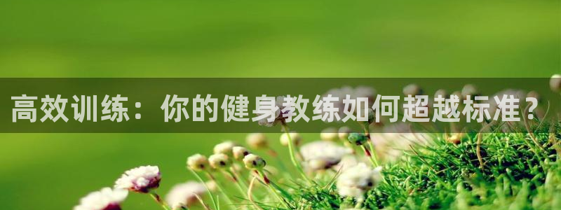 龙八国际娱乐官网app