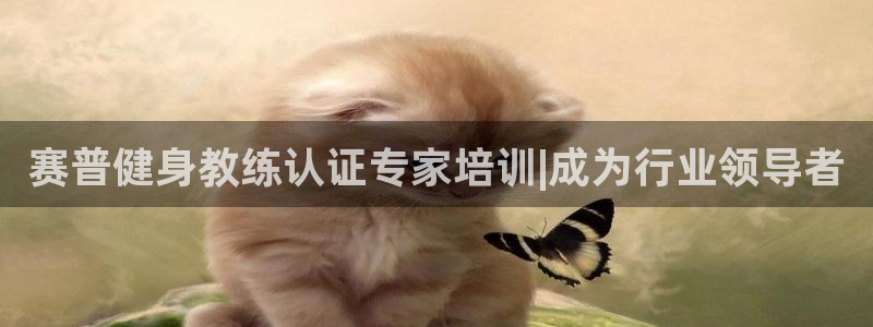 龙8国际平台登录